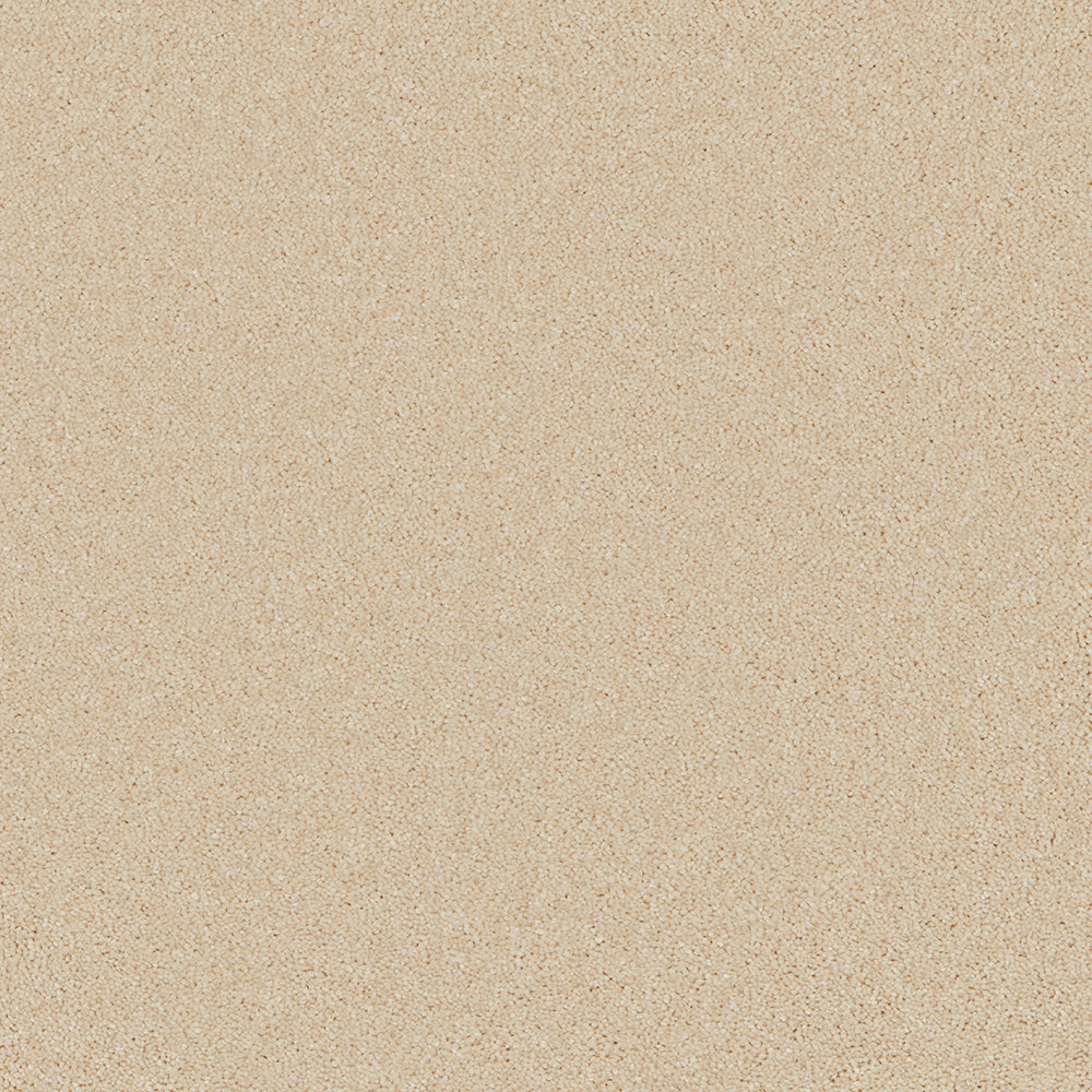 Bliss Deep Pile Carpet