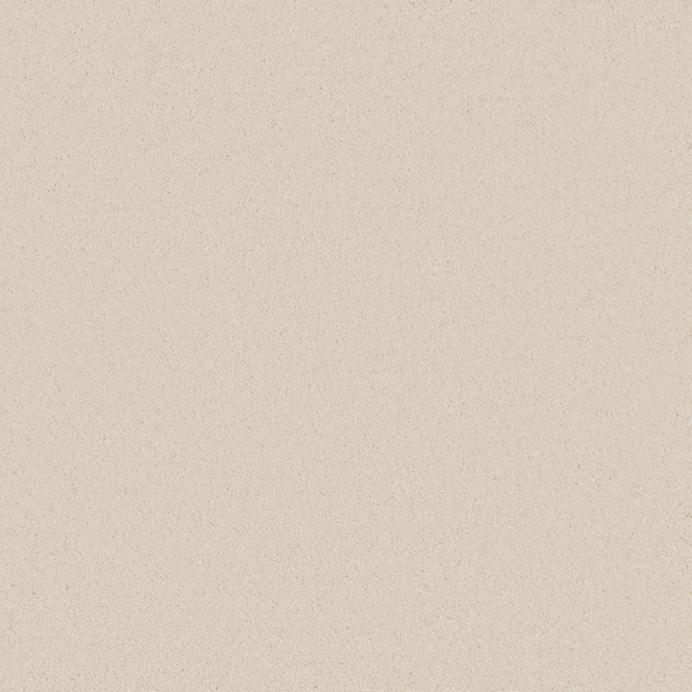 Bliss Deep Pile Carpet