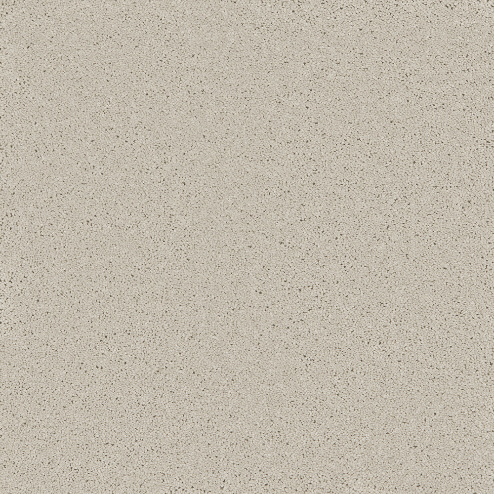 Bliss Deep Pile Carpet