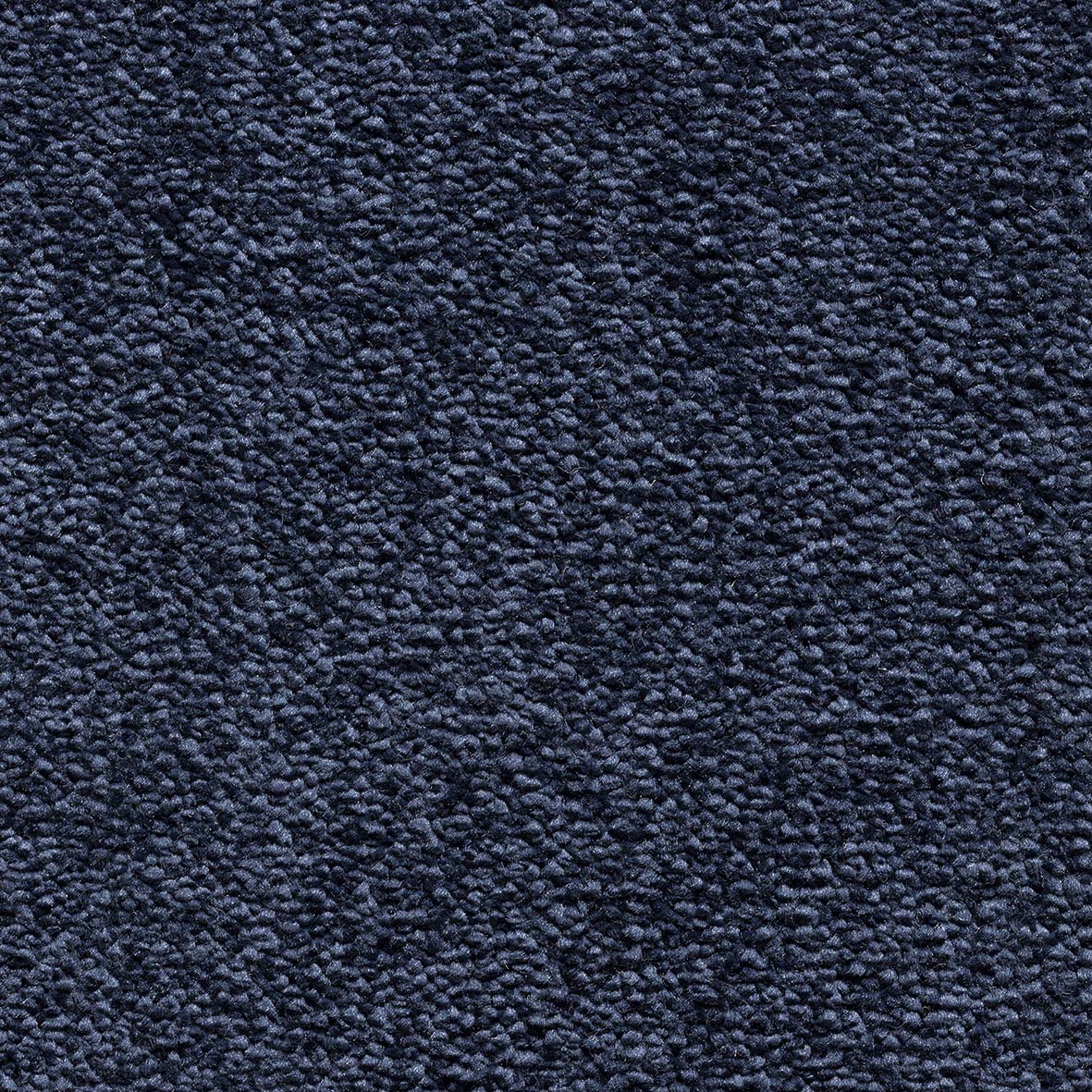 Likewise Maryland - Ocean Carpet – by Likewise Floors – 1