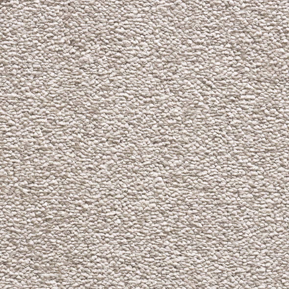 Likewise Maryland - Malt Carpet – by Likewise Floors – 1