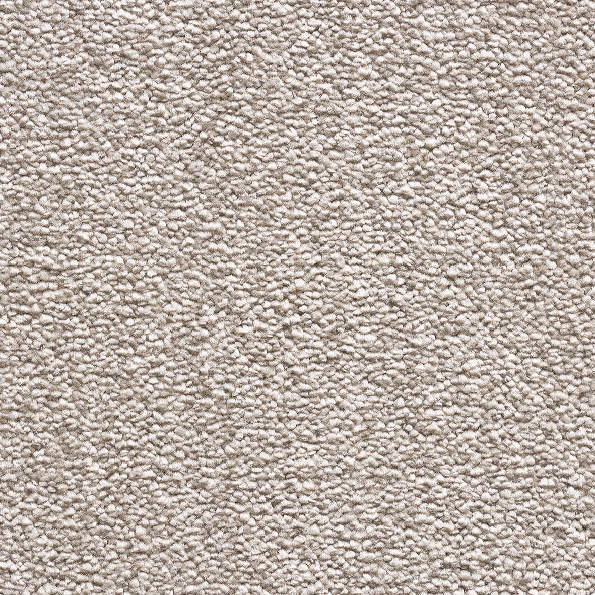 Likewise Maryland - Sand Carpet – by Likewise Floors – 1