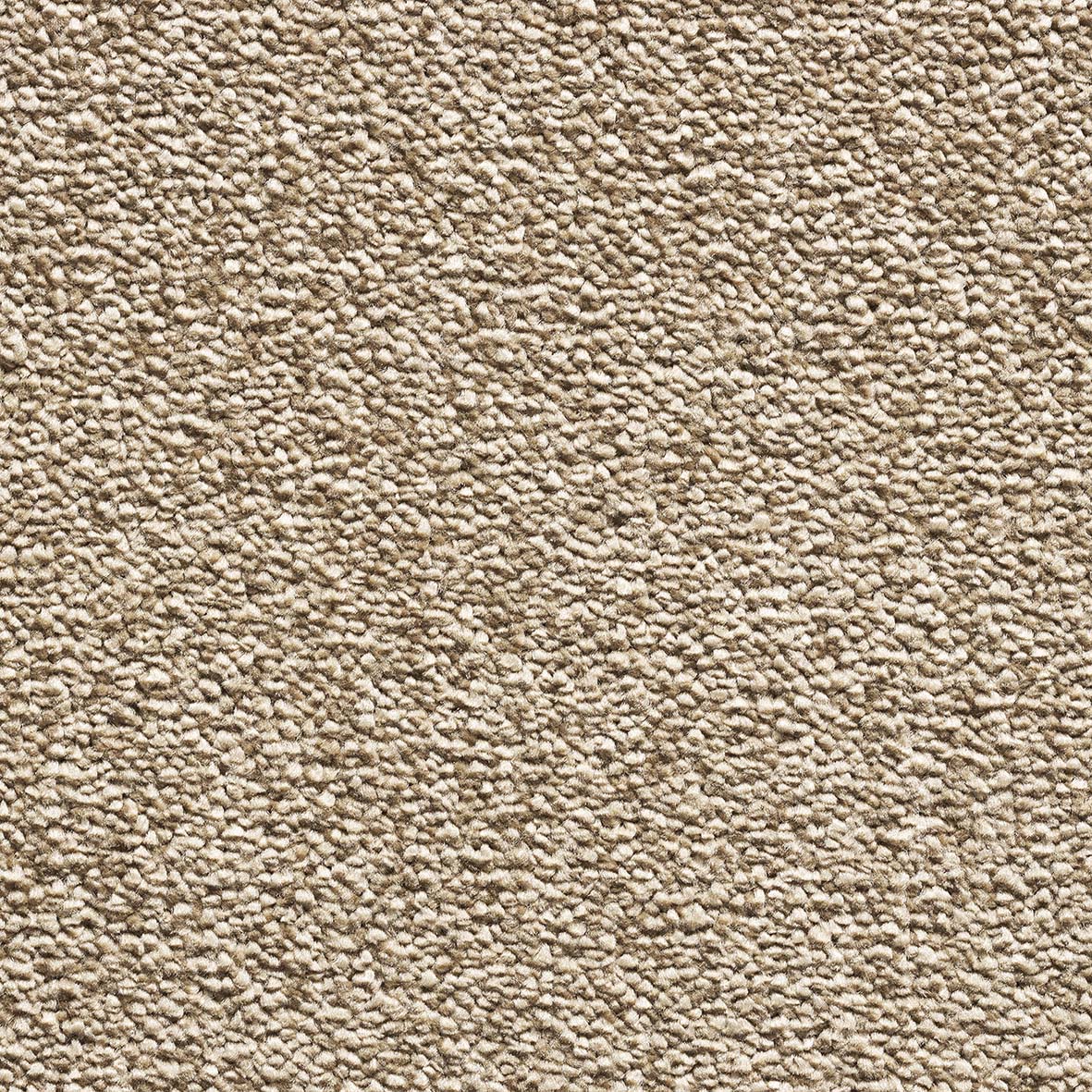 Likewise Maryland - Natural Carpet – by Likewise Floors – 1