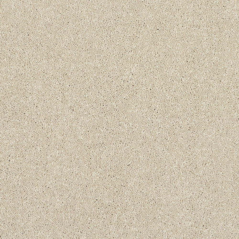 Abingdon Stainfree Caress - Cotton Carpet – by Abingdon Flooring – 1