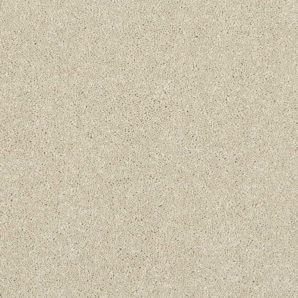 Abingdon Stainfree Caress - Cotton Carpet – by Abingdon Flooring – 1