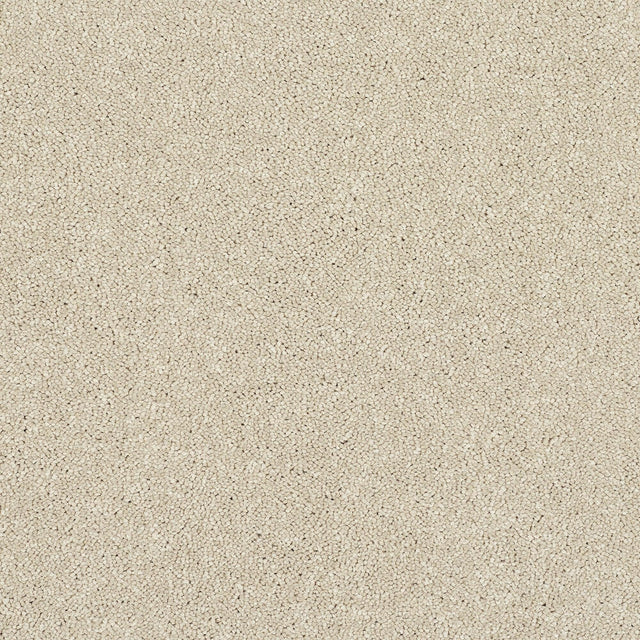 Abingdon Stainfree Caress - Cotton Carpet – by Abingdon Flooring – 1