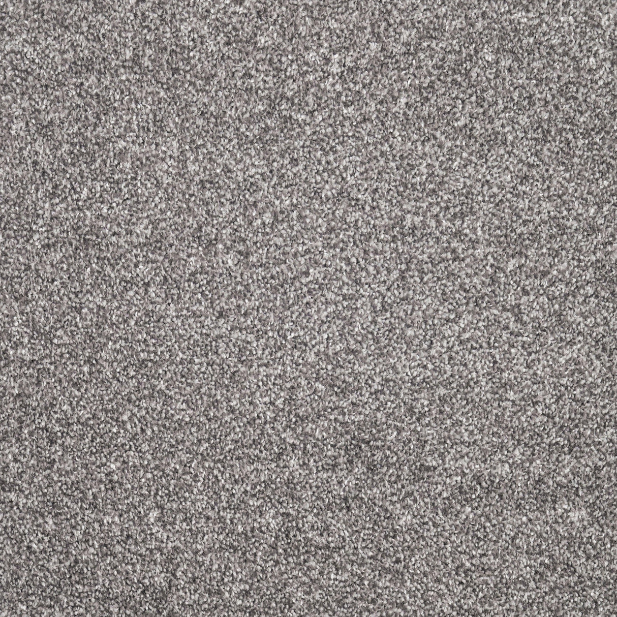 Furlongs Charme - Basalt Carpet – by Furlong Flooring – 1