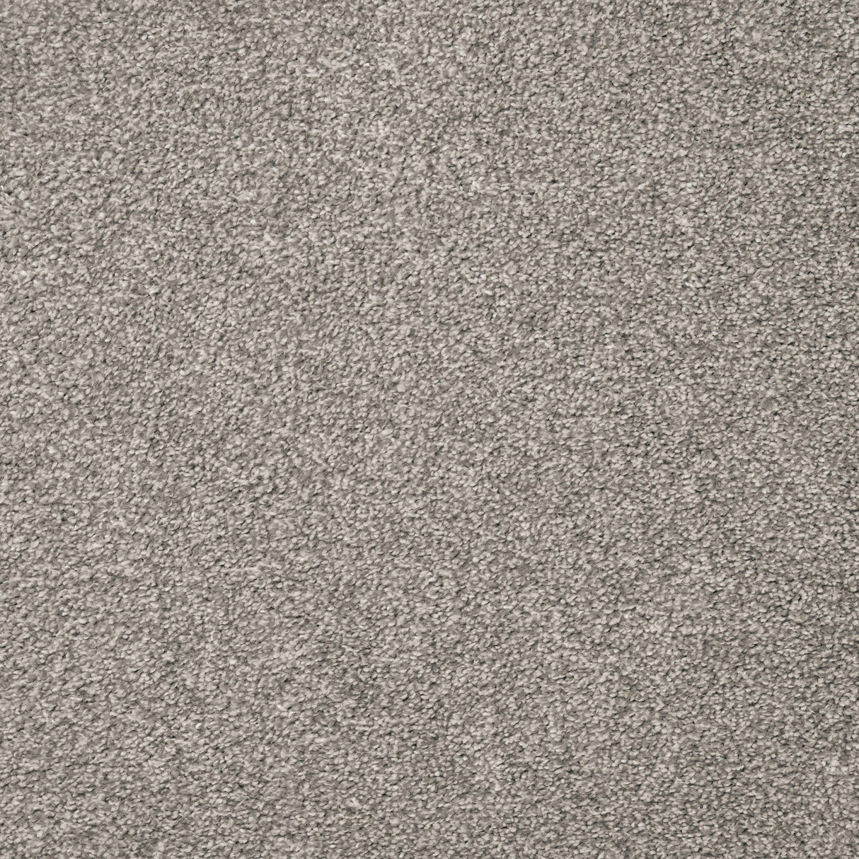 Furlongs Charme - Mist Carpet – by Furlong Flooring – 1