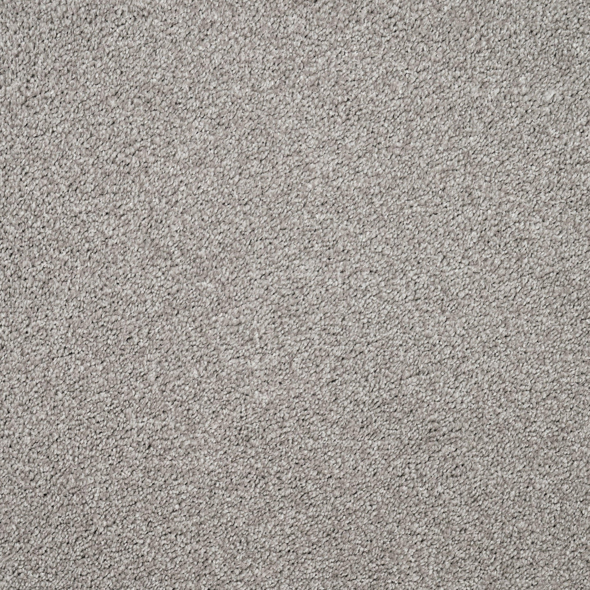Furlongs Charme - Inox Carpet – by Furlong Flooring – 1