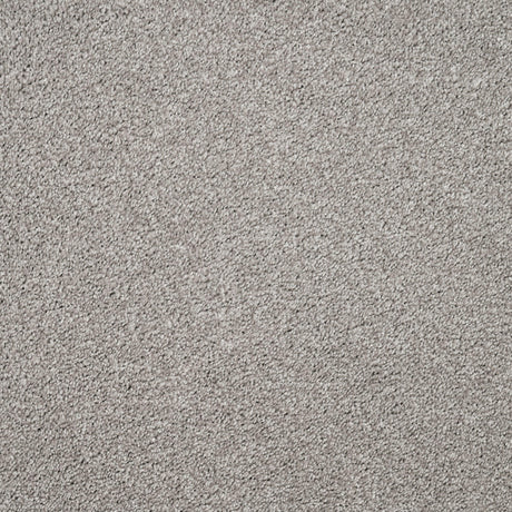 Furlongs Charme - Inox Carpet – by Furlong Flooring – 1