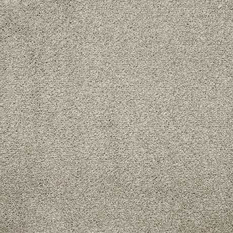 Furlongs Charme - Bleachstone Carpet – by Furlong Flooring – 1