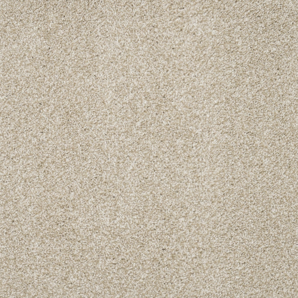 Furlongs Charme - Cream Carpet – by Furlong Flooring – 1