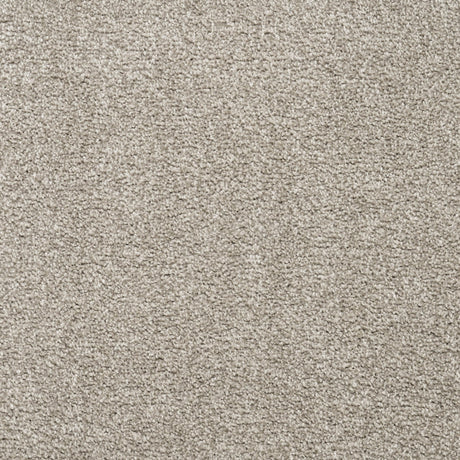 Furlongs Charme - Taupe Carpet – by Furlong Flooring – 1