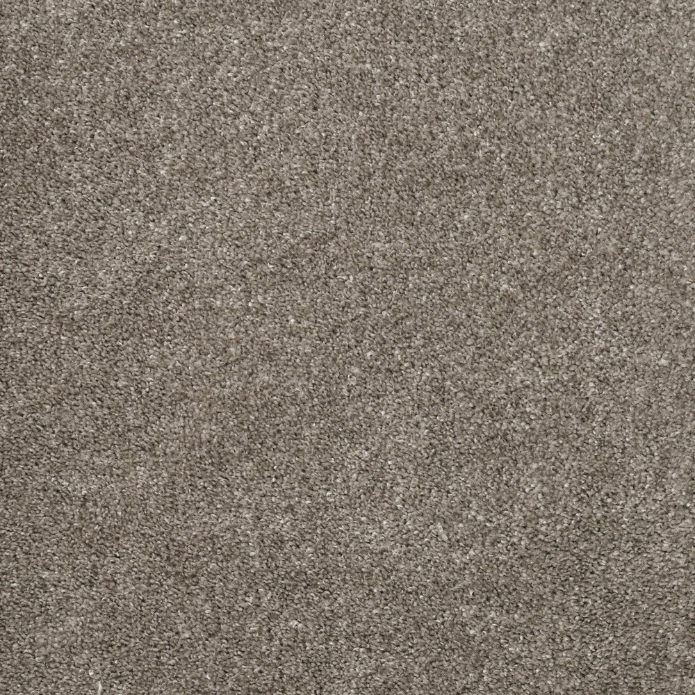 Furlongs Charme - Peat Carpet – by Furlong Flooring – 1