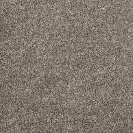 Furlongs Charme - Peat Carpet – by Furlong Flooring – 1