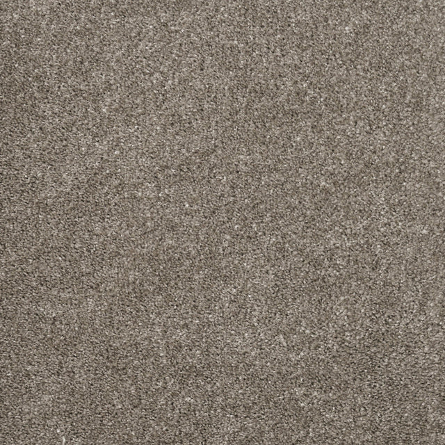 Furlongs Charme - Peat Carpet – by Furlong Flooring – 1
