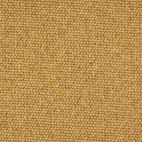 Abingdon Charter Berber Loop - Mustard Carpet – by Abingdon Flooring – 1