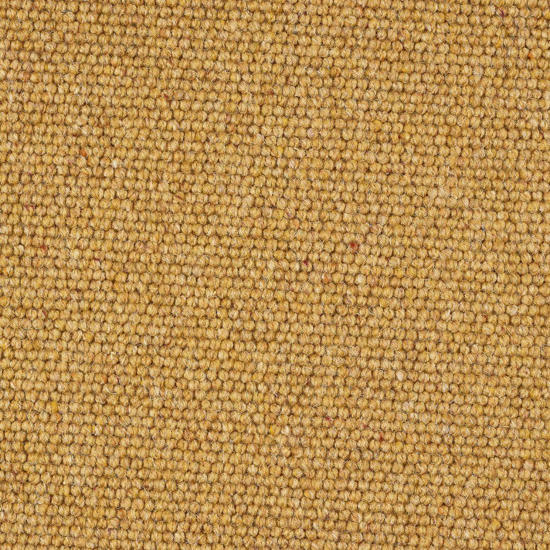 Charter Berber Loop Carpet