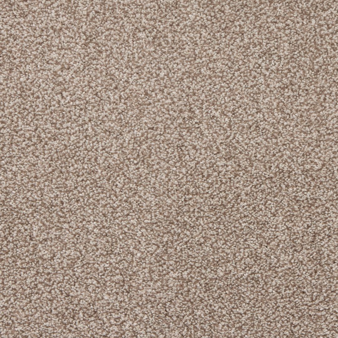 StainFree Affluence Carpet