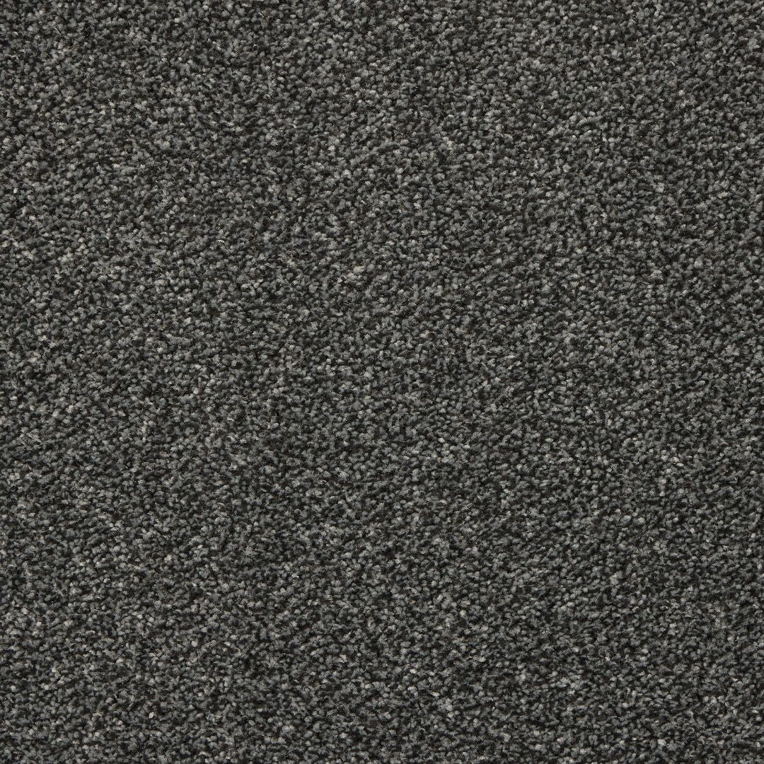 StainFree Affluence Carpet