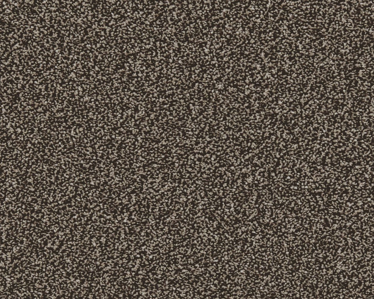 Linwood Twist Carpet