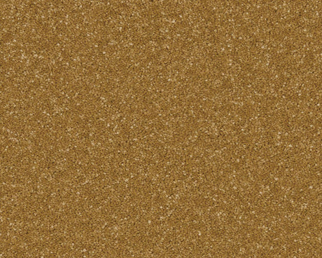 Cormar Linwood - Midas Touch Carpet – by Cormar Carpets – 1