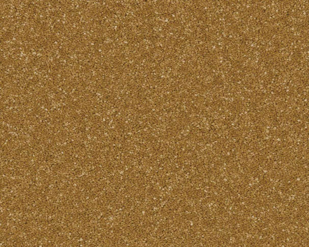 Linwood Twist Carpet