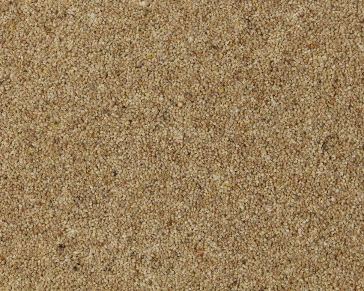 Cormar Natural Berber Elite Twist - Marigold Carpet – by Cormar Carpets – 1