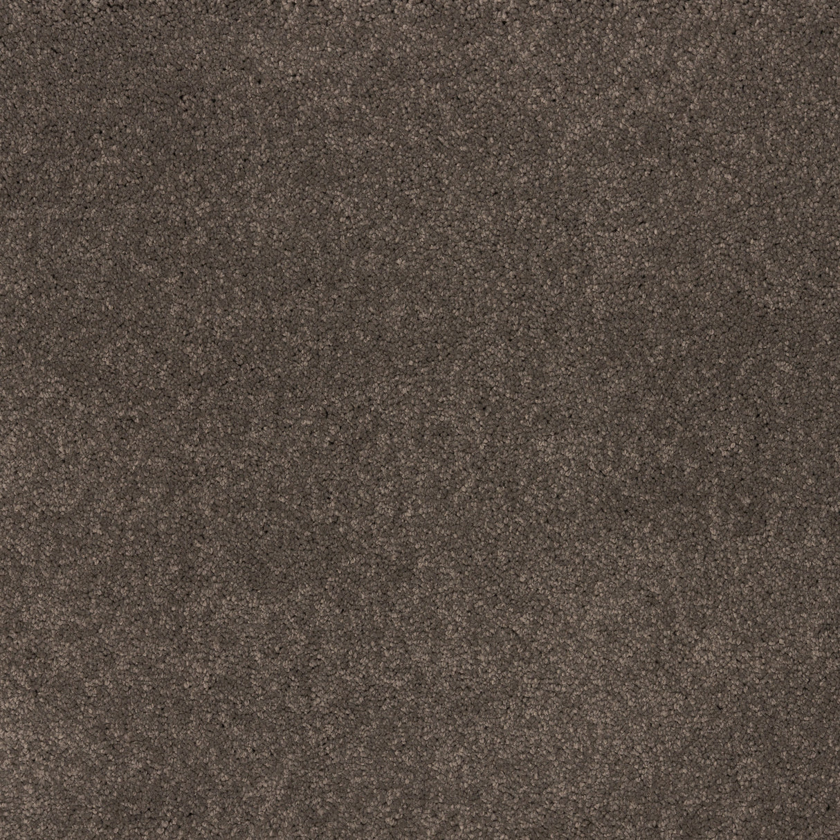 Soft and durable ibexx Dreamy Delight luxury deep pile carpet in Cloud