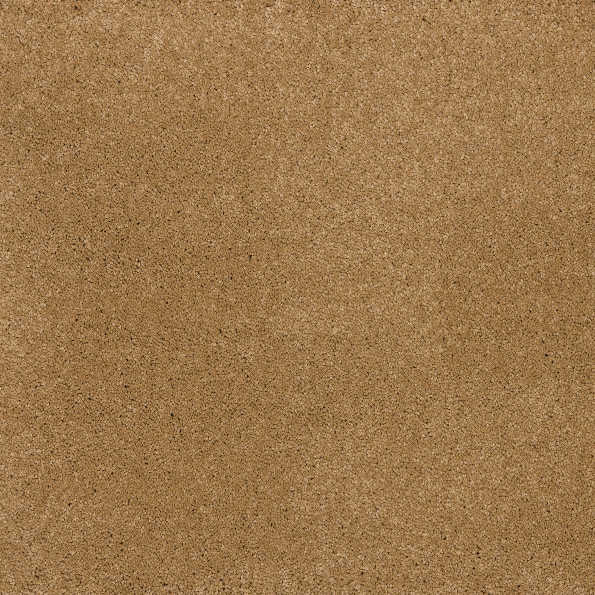 Ibexx Dreamy Delight luxury deep pile carpet, Cloud colourway