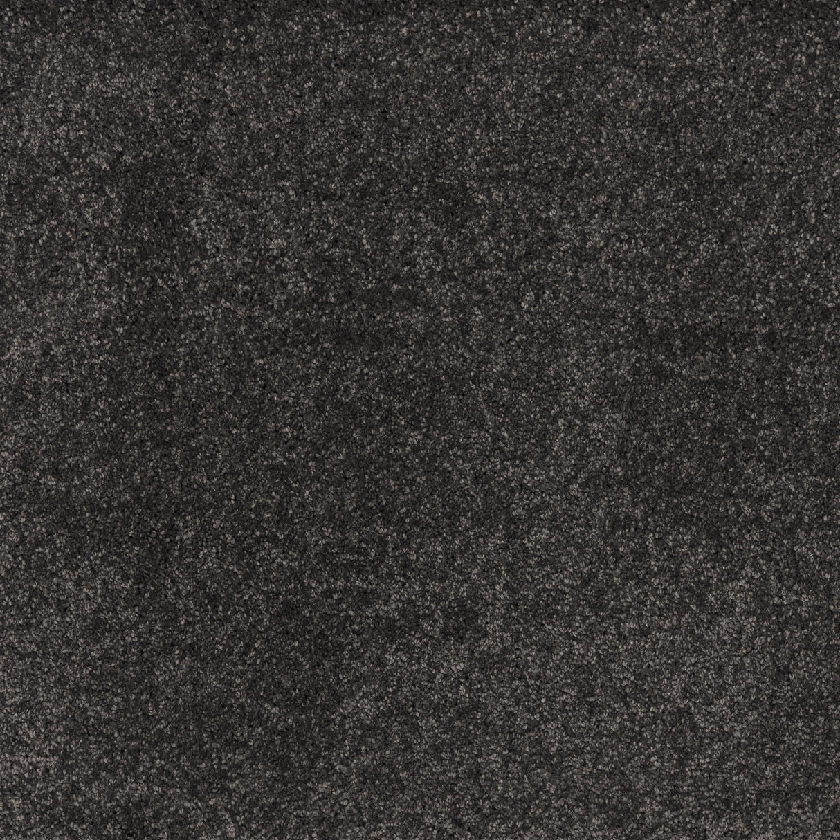 Hard-wearing ibexx Dreamy Delight luxury deep pile carpet in Cloud
