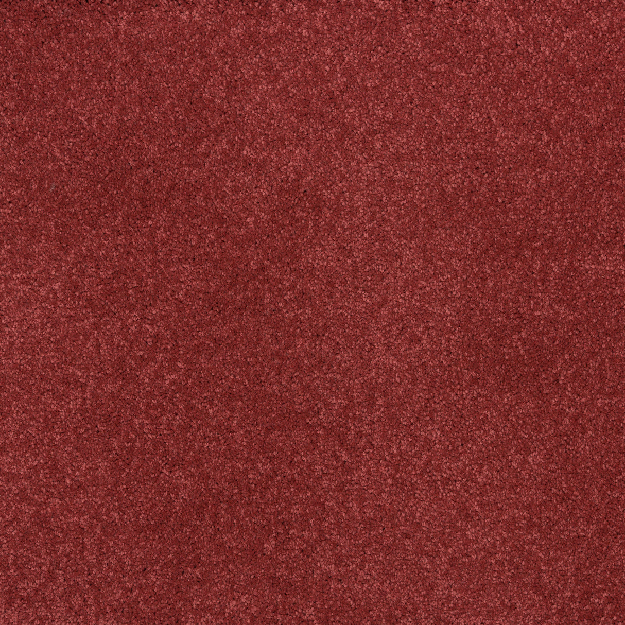 Ibexx Dreamy Delight luxury deep pile carpet, easy-clean in Cloud