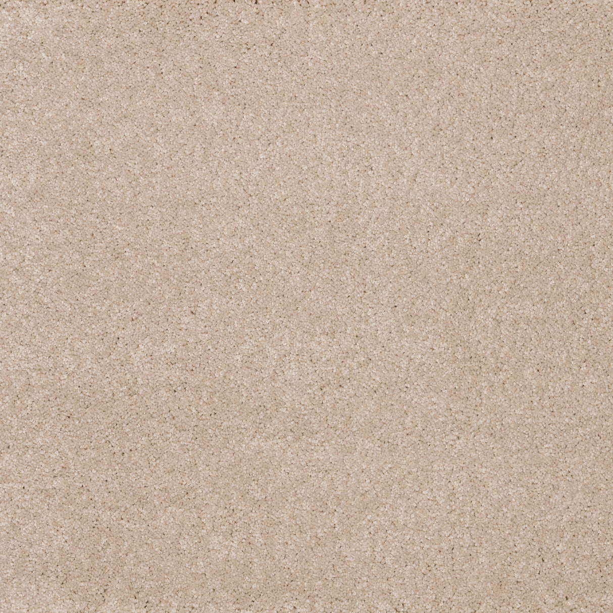 Ibexx Dreamy Delight luxury deep pile carpet for living rooms in Cloud