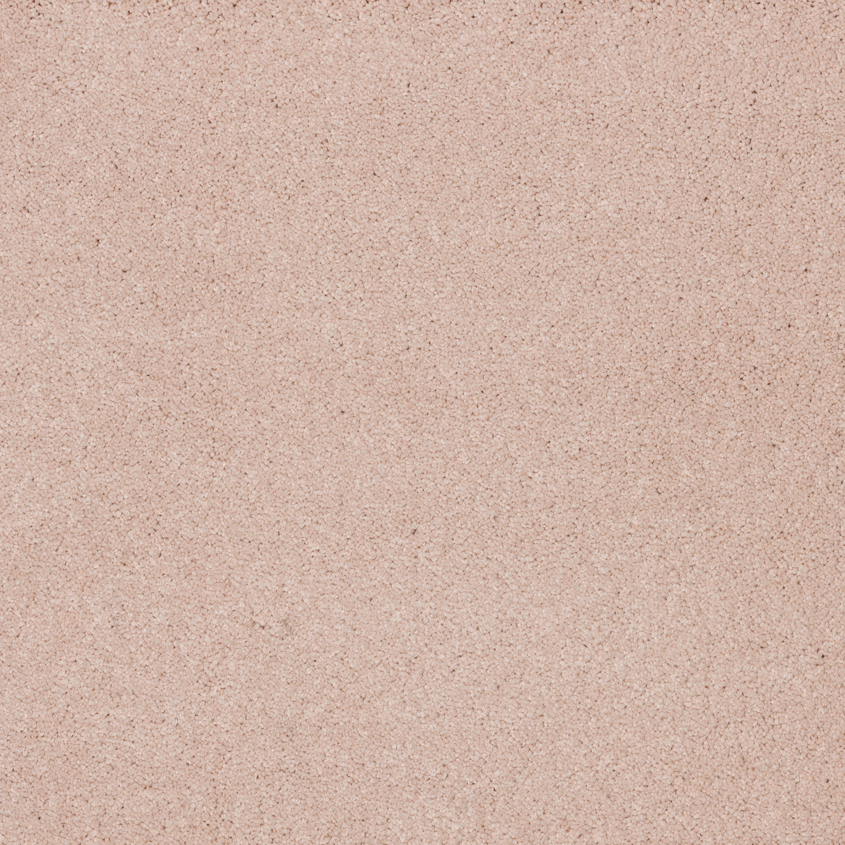 Ibexx Dreamy Delight luxury deep pile carpet, soft underfoot in Cloud