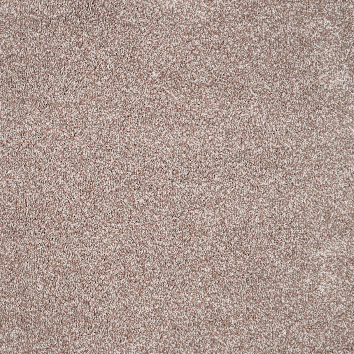 Furlongs Duchesse - Affogato Carpet – by Furlong Flooring – 1