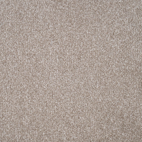 Furlongs Duchesse - Coquille Carpet – by Furlong Flooring – 1