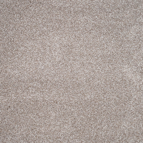 Furlongs Duchesse - Grist Carpet – by Furlong Flooring – 1