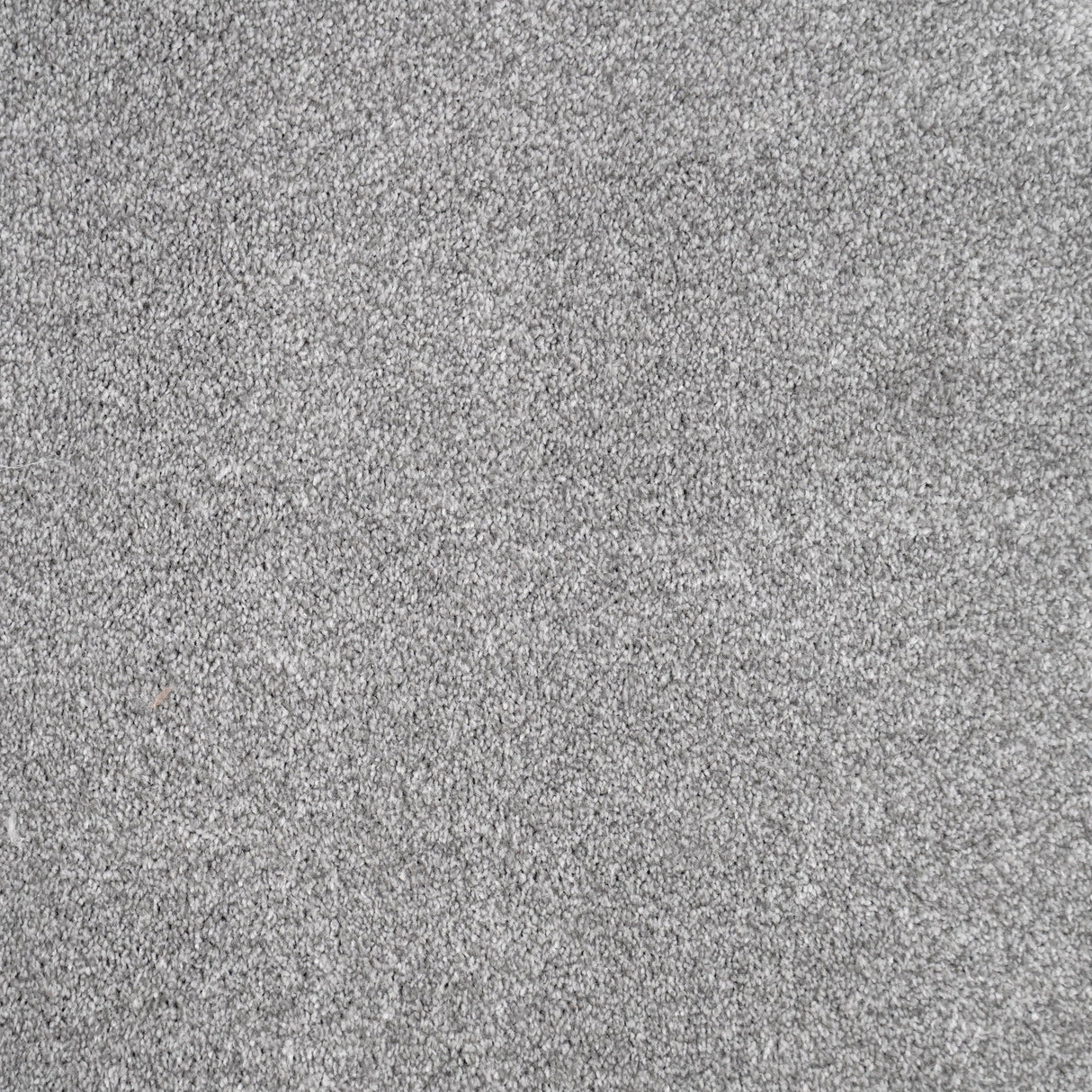 Furlongs Duchesse - Aurora Carpet – by Furlong Flooring – 1