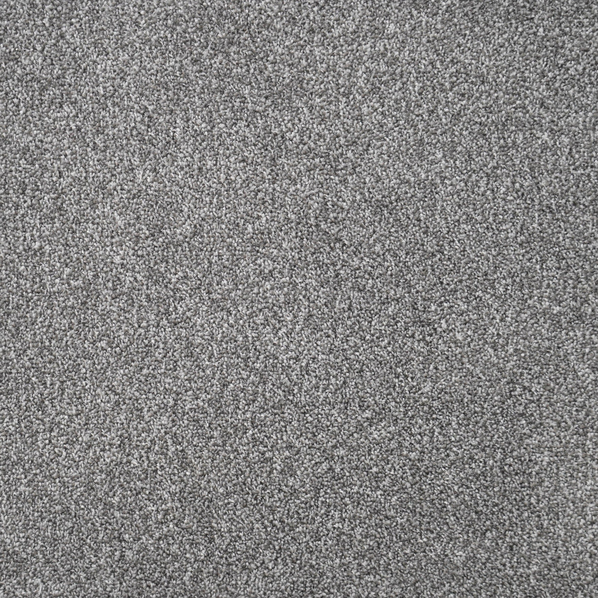 Furlongs Duchesse - Thundercloud Carpet – by Furlong Flooring – 1