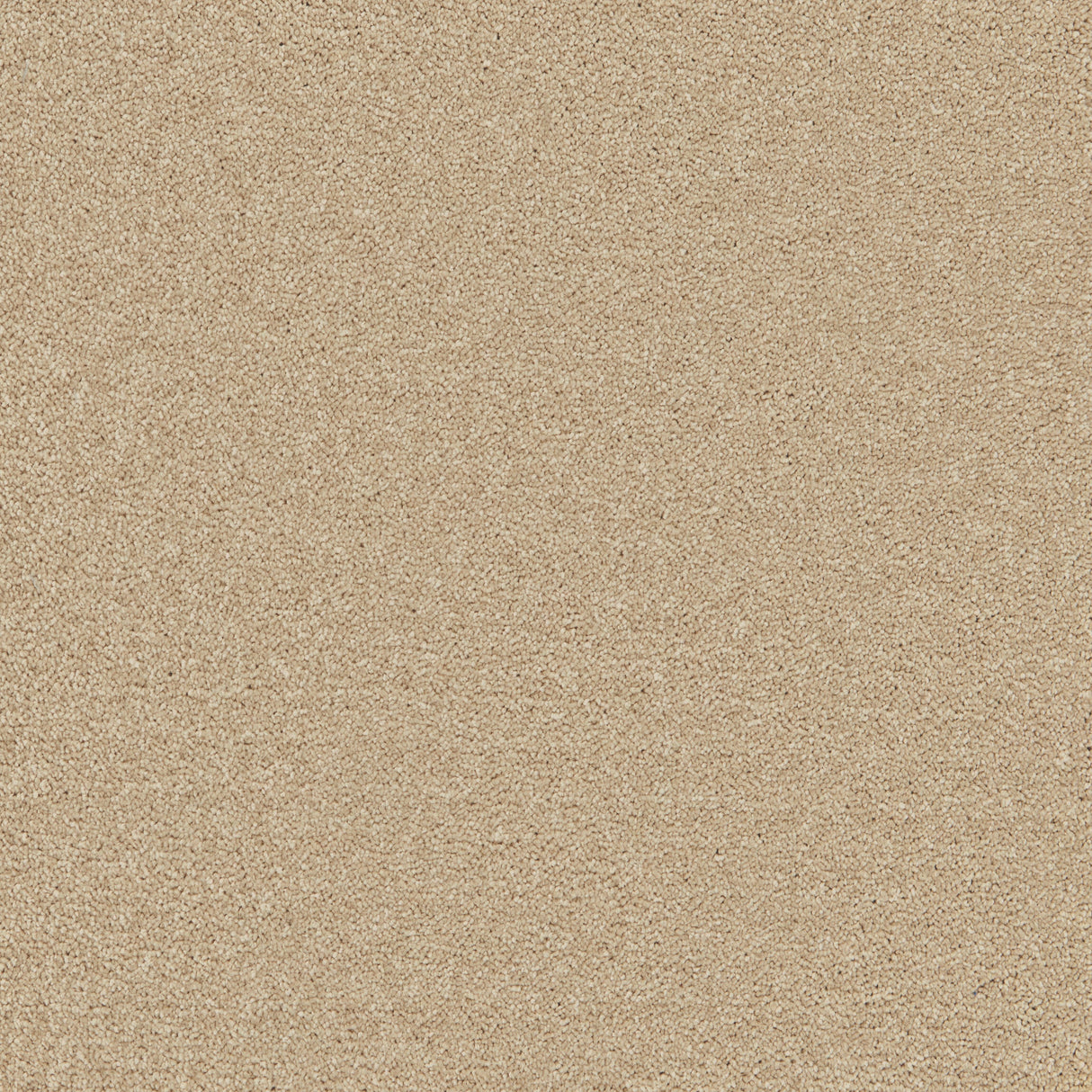 Enchantment Luxe Carpet