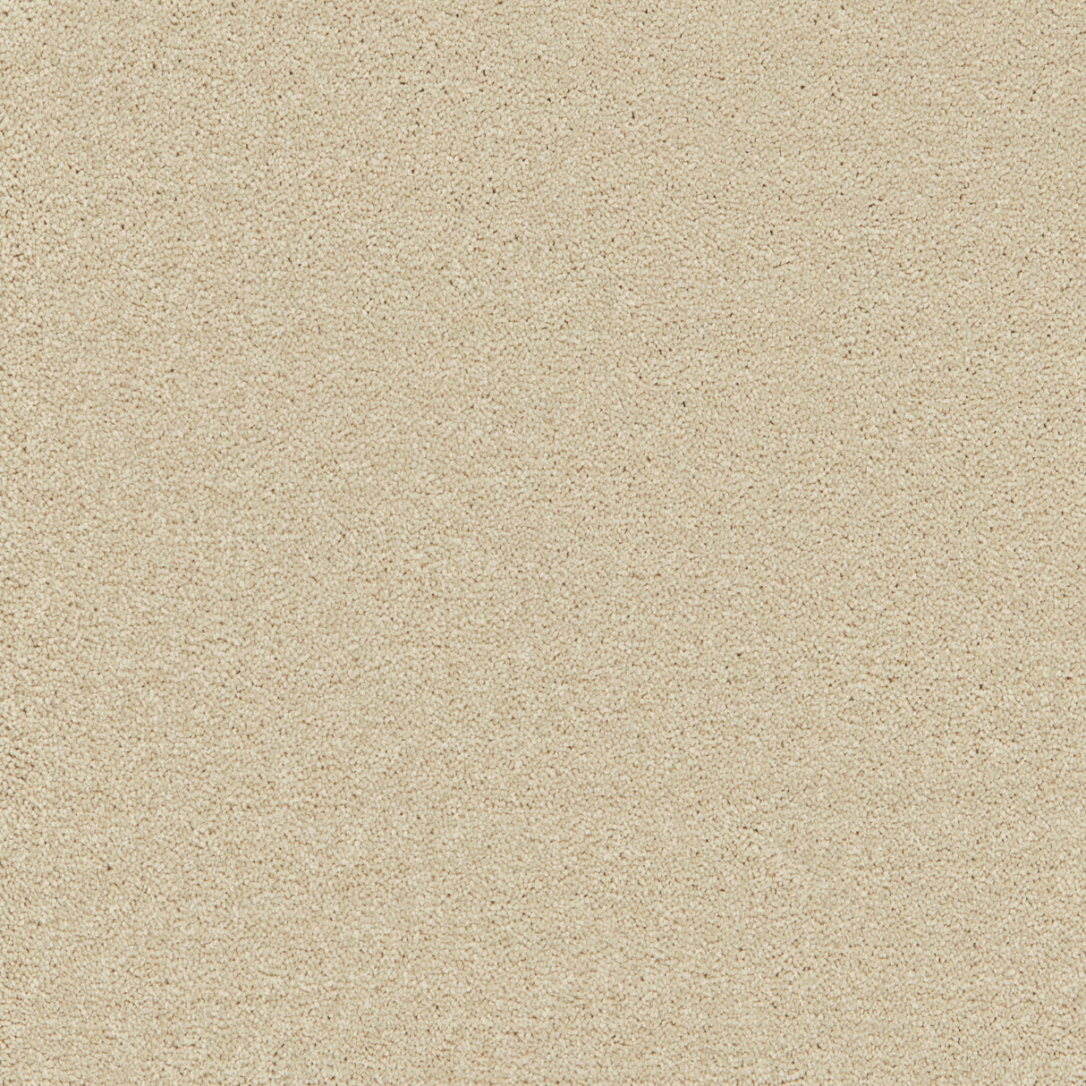 Enchantment Luxe Carpet