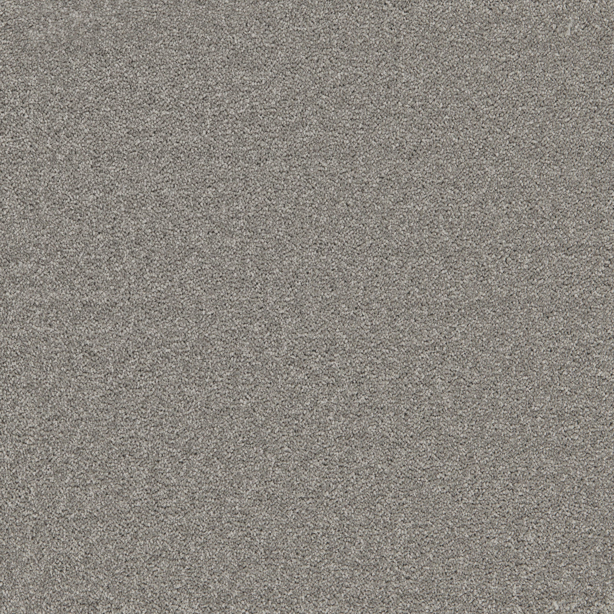Furlongs Enchantment Elite - Greylink Carpet – by Furlong Flooring – 1