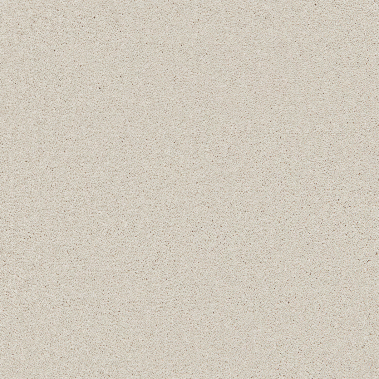 Enchantment Luxe Carpet