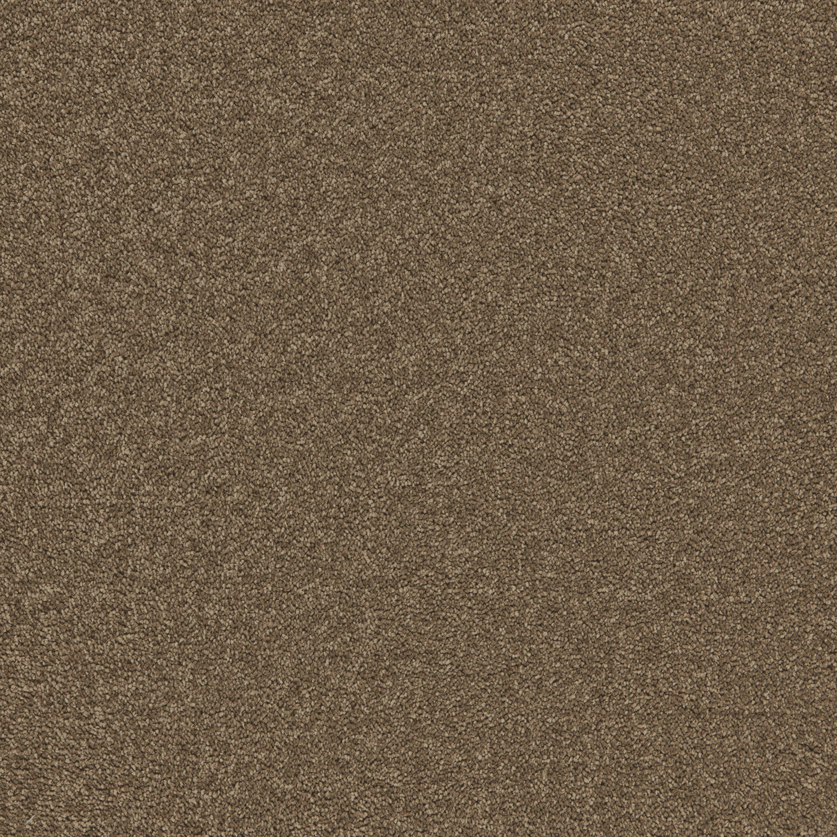 Enchantment Luxe Carpet