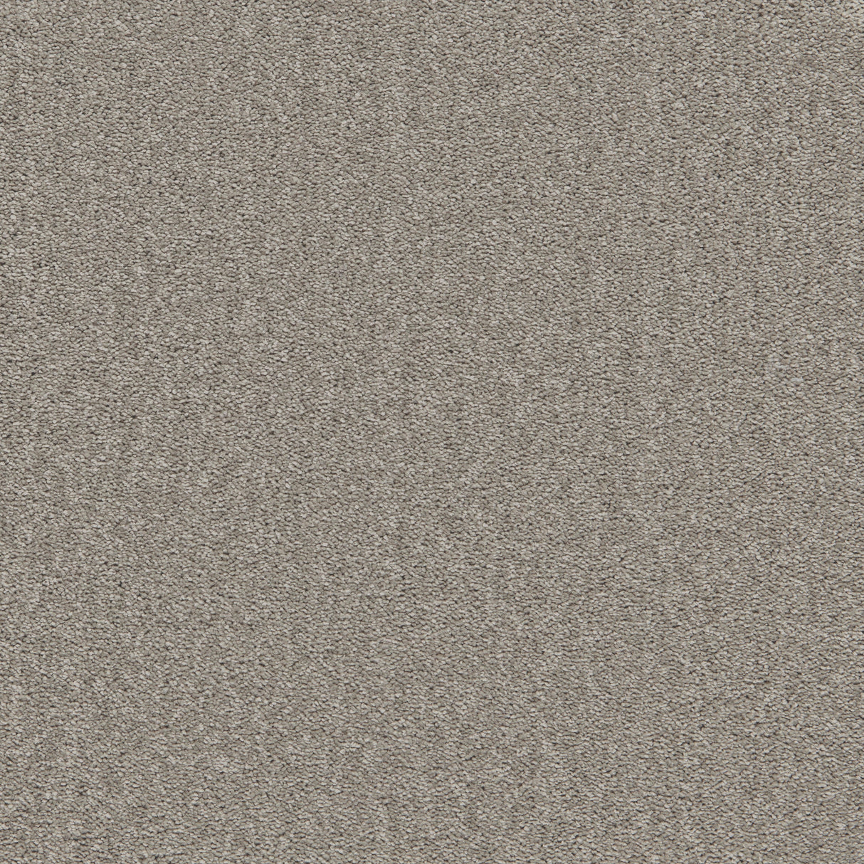 Furlongs Enchantment Elite - Papillon Carpet – by Furlong Flooring – 1