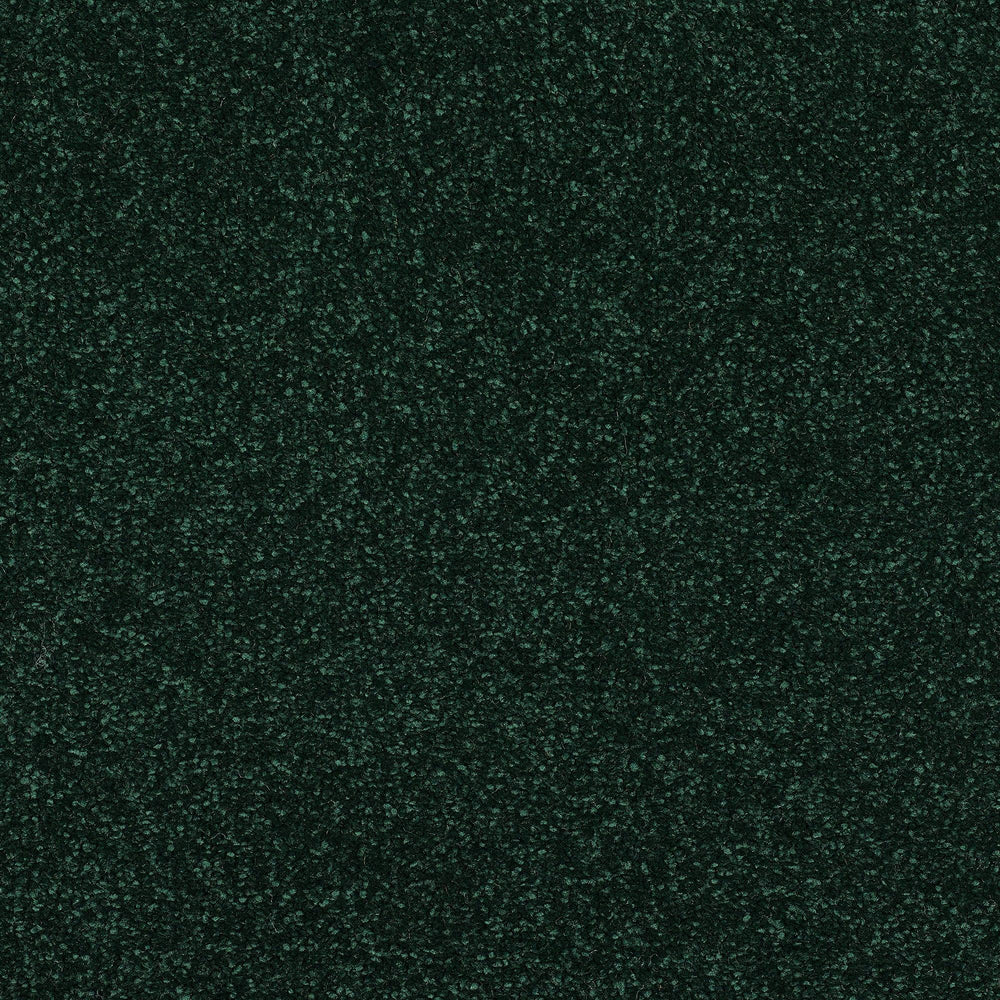 Abingdon Stainfree Caress - Fir Green Carpet – by Abingdon Flooring – 1