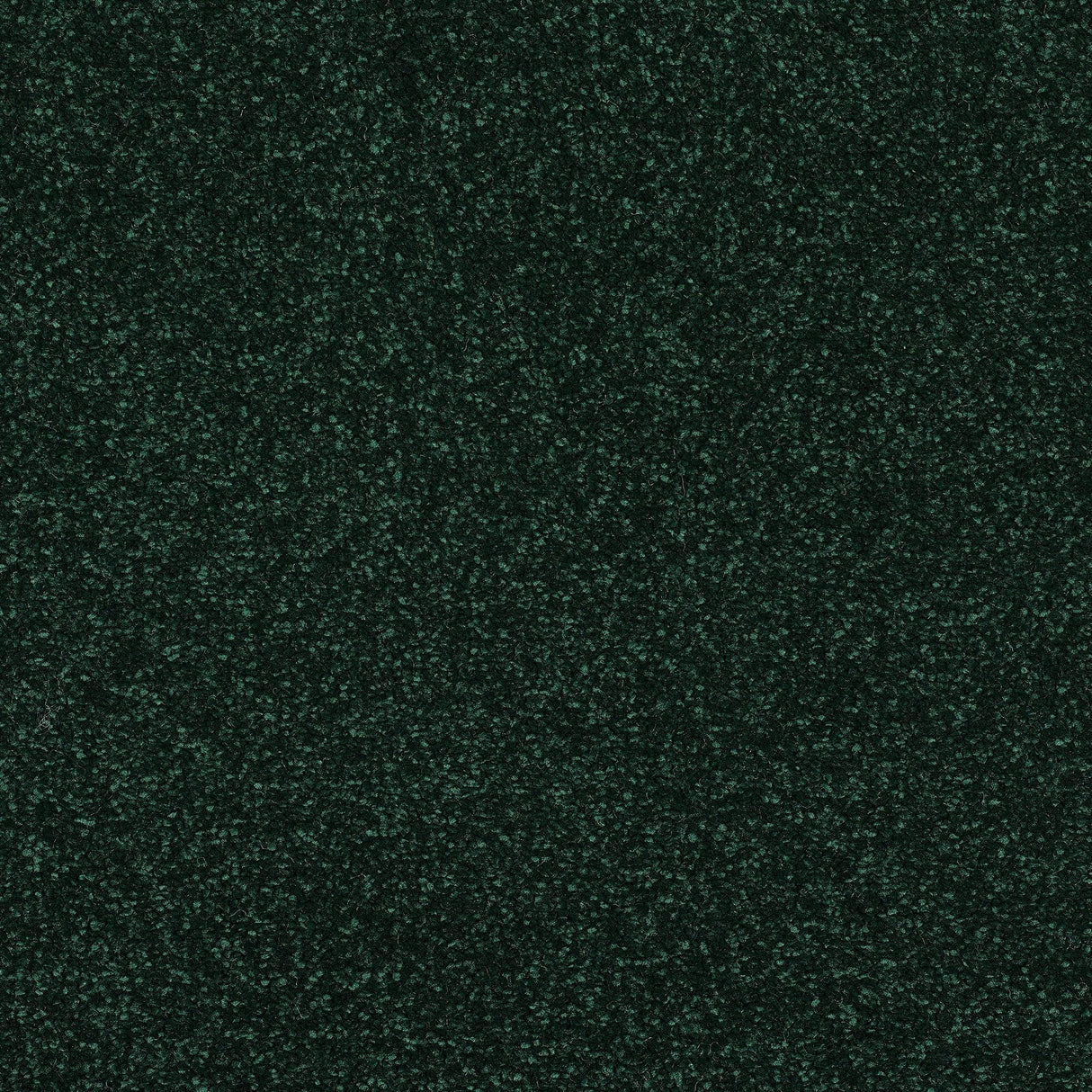 Abingdon Stainfree Caress - Fir Green Carpet – by Abingdon Flooring – 1