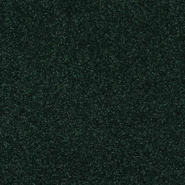 Abingdon Stainfree Caress - Fir Green Carpet – by Abingdon Flooring – 1