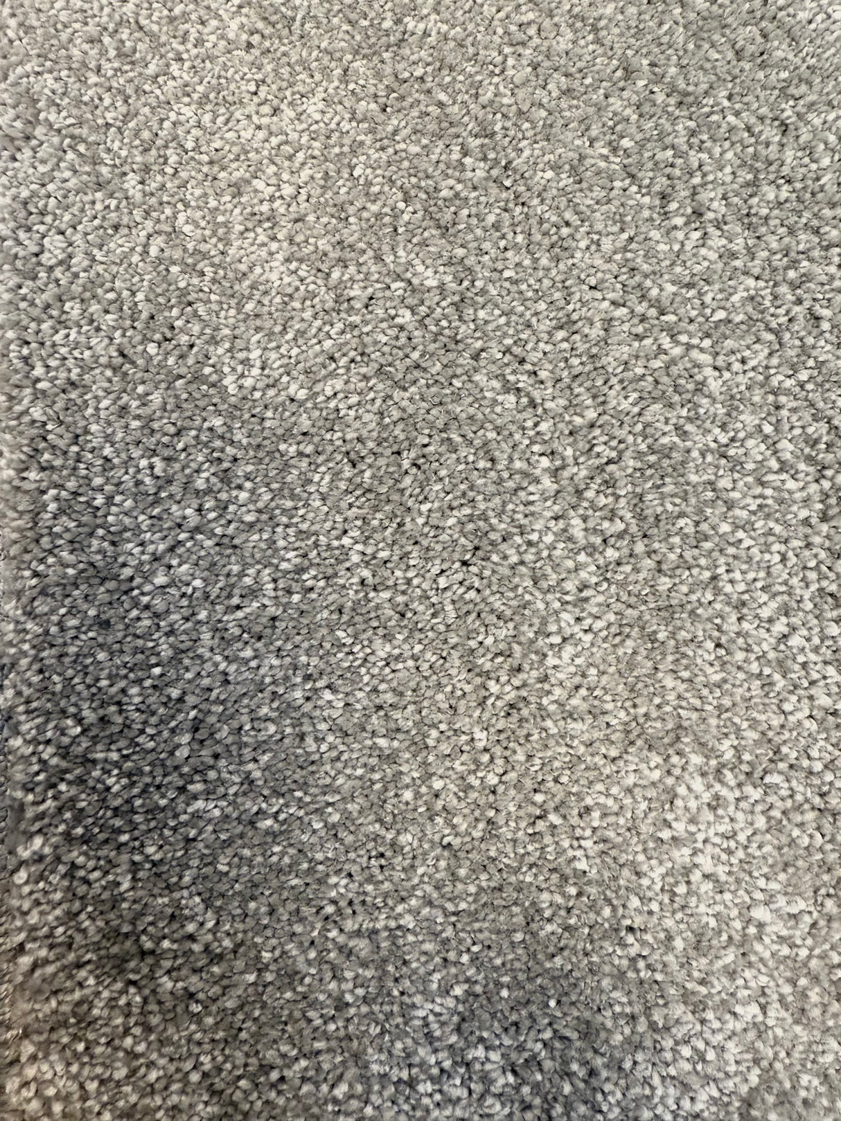 Likewise Maryland - Silver Carpet – by Likewise Floors – 1