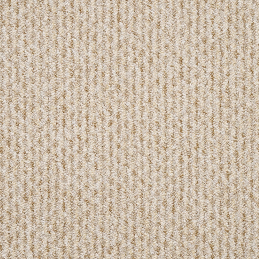 Furlongs Dakar - Conque Carpet – by Furlong Flooring – 1
